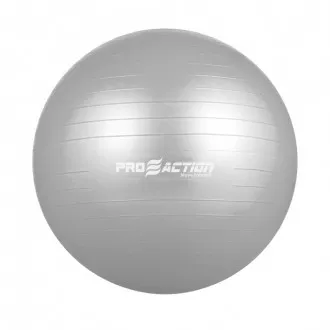 Bola de Ginástica Pro Action 65cm Cinza