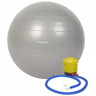 Bola de Ginástica Pro Action 65cm Cinza